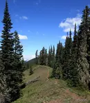 The best hiking gear for women keeps you safe and comfortable on any trail, but not all of it is trail worthy. Use these gear tips from a long time hiker.