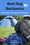 Backpacks for dogs shift the responsibility of carrying food and water from you to your canine hiking companion. Here is what to look for in the best backpacks for dogs.