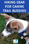 These Hiking For Her tips for the right hiking gear for dogs will get your trail buddy all geared up for your next hike.