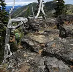 The best daypacks for women hikers include important performance and comfort features. Use these recommendations plus 10 important tips from Hiking For Her.