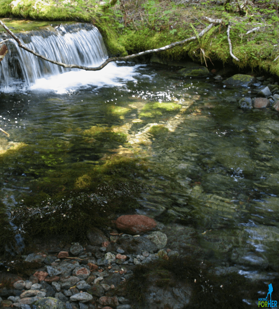crystal clear waters of Paradise River pool and falls at Mount Rainier National Park crystal clear waters of Paradise River pool and falls at Mount Rainier National Park