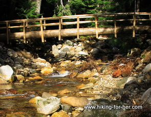 Gorgeous rocky mountain stream with a bridge Gorgeous rocky mountain stream with a bridge