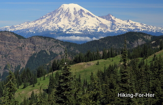 Mount Rainier viewed from Mount Adams, a lush green mountain meadow in the foreground