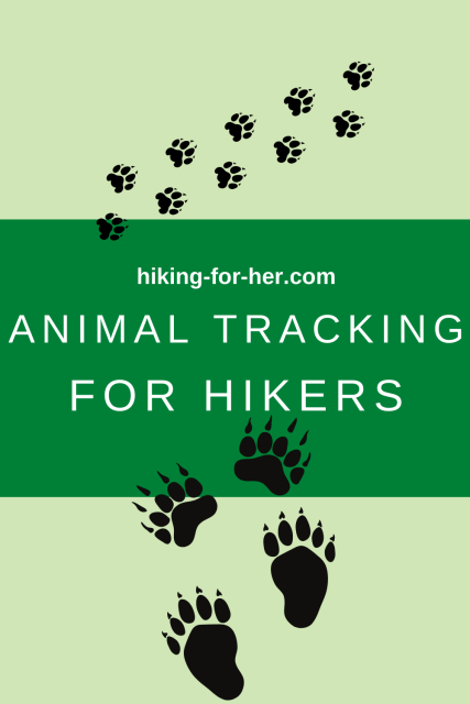 Hikers run across all sorts of tracks on the trail. Animal tracking for hikers can be a fun addition to your hiking hobby! #animaltracking #hikerstracking #hikingforher