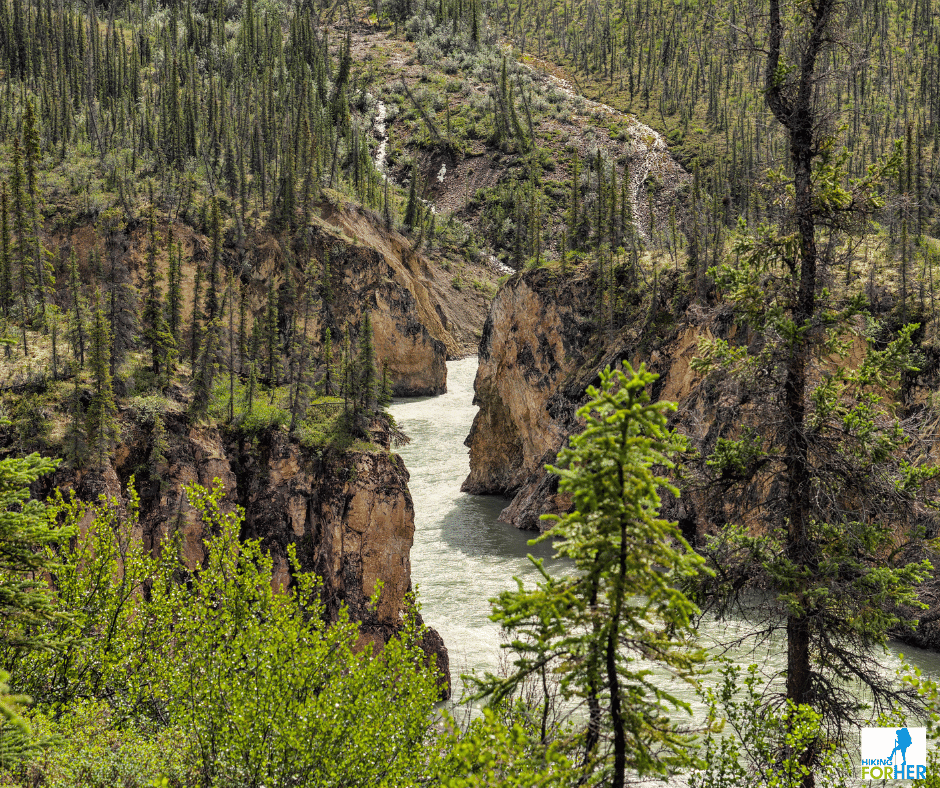 narrow river canyon with craggy walls on wild river