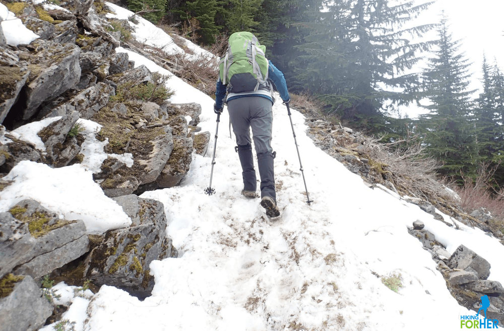 Montem clearance hiking poles