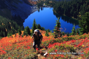 Female hiker standing on steep slope above bright blue alpine lake, surrounded by orange and yellow alpine blueberry bushes
