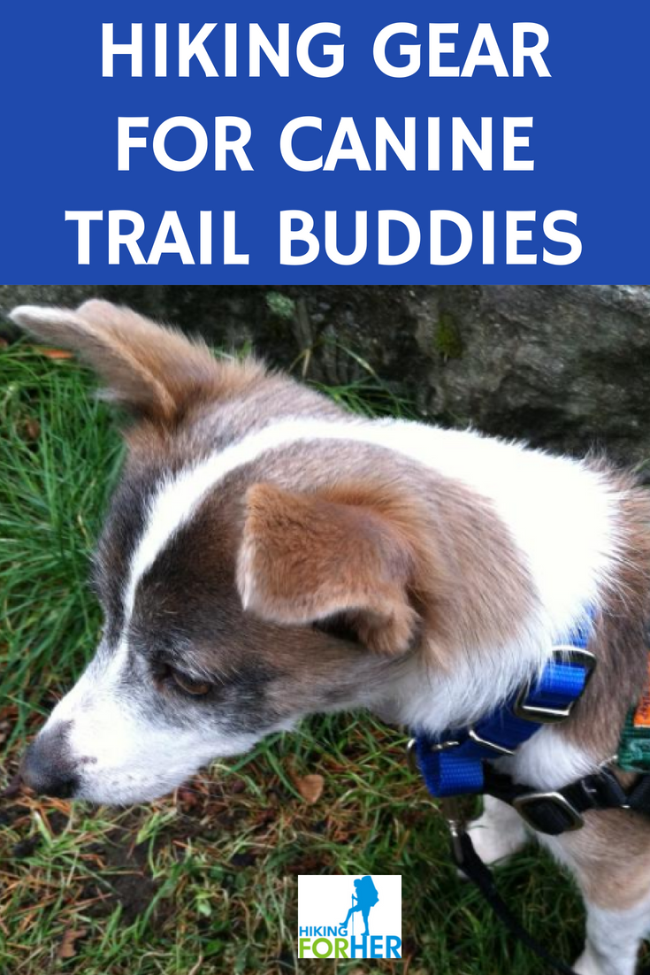 Do you hike with your canine companion(s)? Choose the best hiking gear for your hiking dogs with these Hiking For Her tips. #hiking #hikingdog #backpackingdogs #doghikinggear #hikingforher