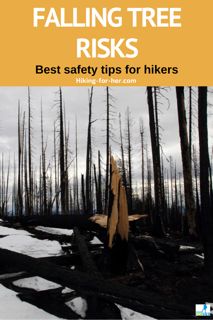 Hiking can be risky, but these safety tips from Hiking For Her can prevent falling tree risks on the trail. #hiking #backpacking #outdoorsafety #hikingtips #safehiking