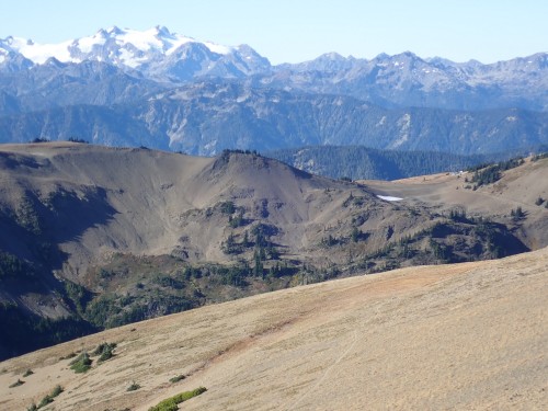 Open trail in high alpine