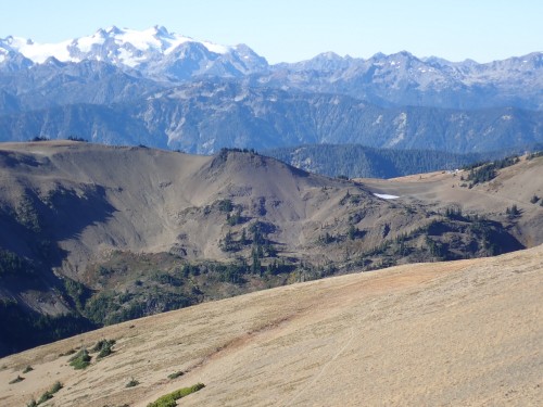 Open trail in high alpine Open trail in high alpine