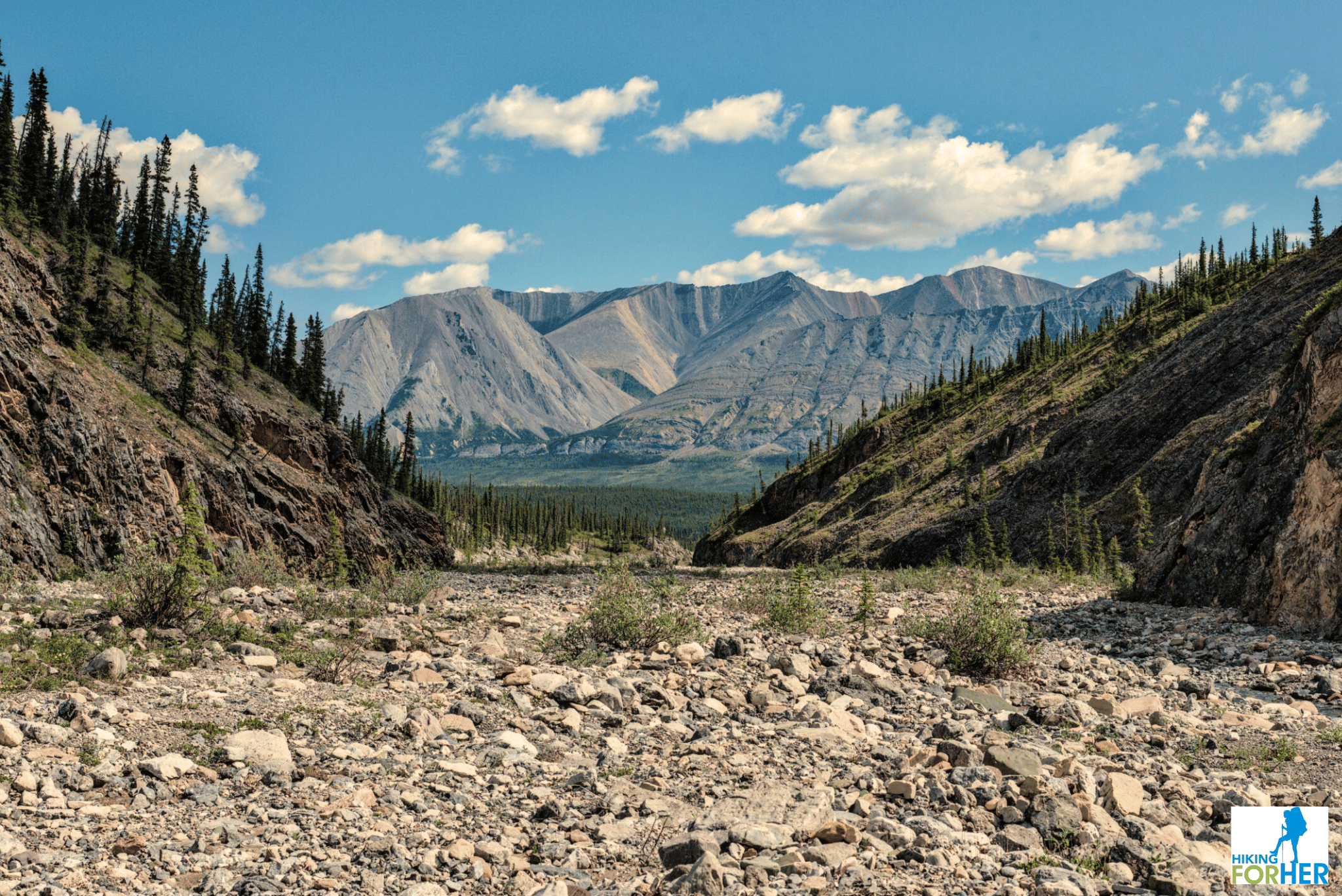 view from creekbed looking down valley in NW Territories with Silverberry River in the distance