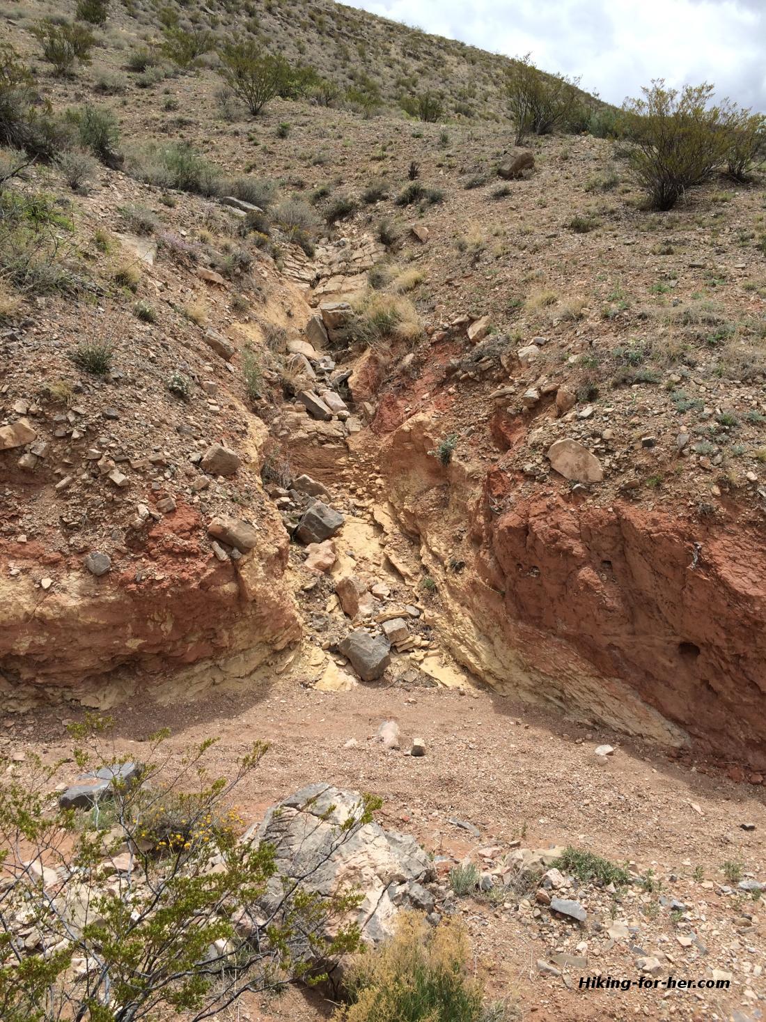 Desert arroyo with reddish brown rocks and shrubs