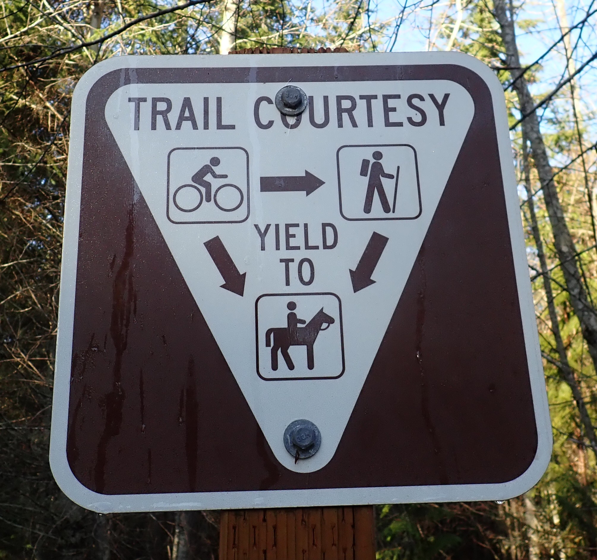 Trail etiquette sign showing bikers yielding to hikers, hikers and bikers yielding to equestrains