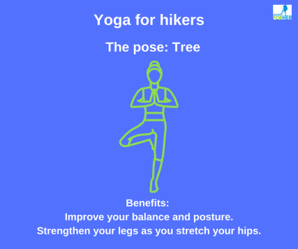 Tree pose is a fantastic way for hikers to gain more balance and strength. Learn more at Hiking For Her. #yogaforhikers #hikingforher