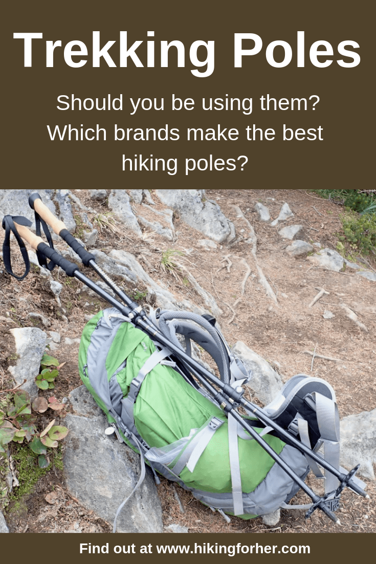 trekking pole brands