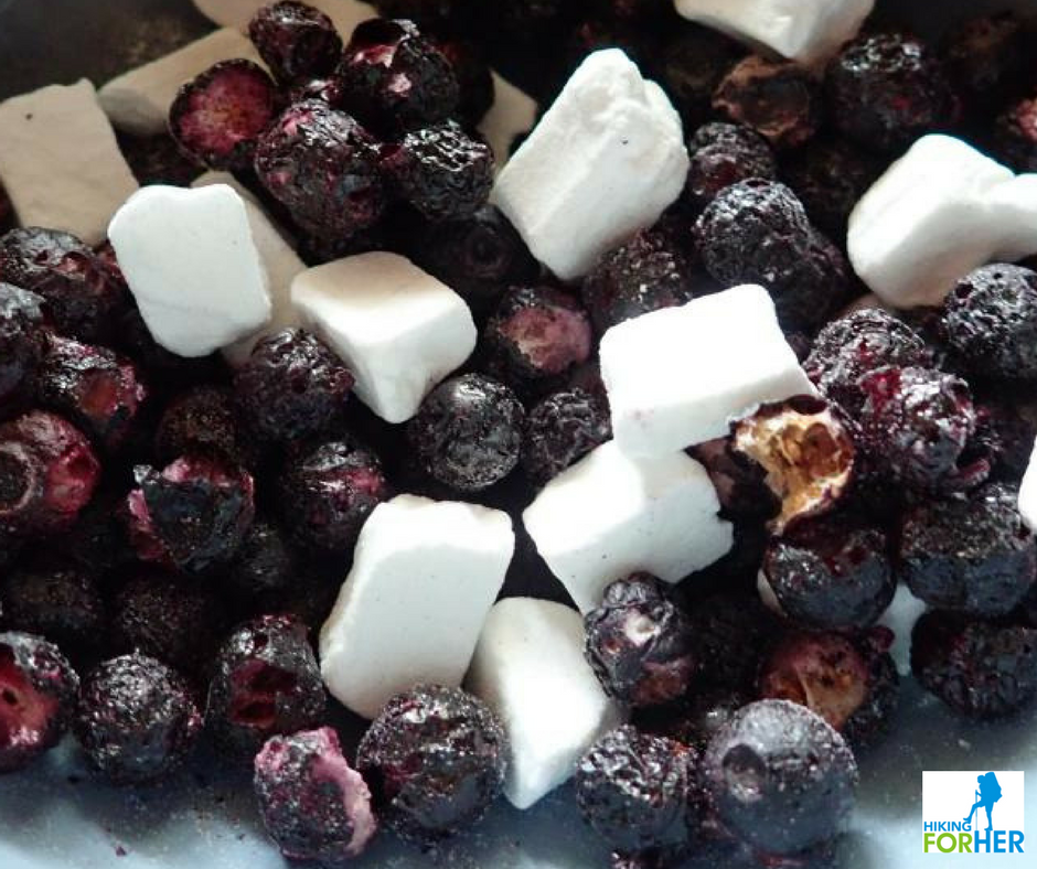 Freeze dried blueberries and coconut milk bites make a great backpacking snack or dessert for hikers Freeze dried blueberries and coconut milk bites make a great backpacking snack or dessert for hikers