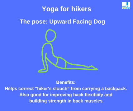 Try yoga for hikers with an easy pose called Upward Facing Dog. Great lower back stretch, and lots more to learn at Hiking For Her. #yogaforhikers #hikingforher